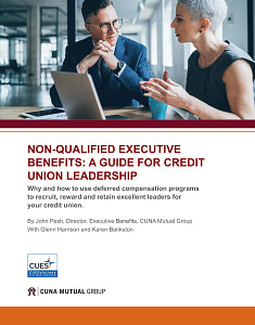 Preview of Non-Qualifited Executive Benefits Guide thumbnail